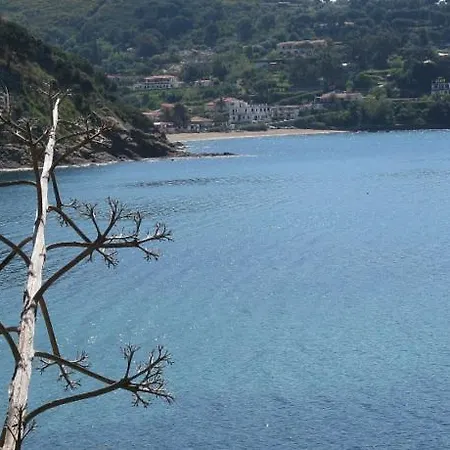 Appartamento Bouganville